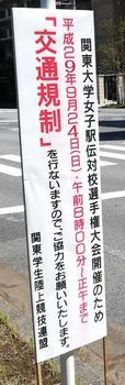 23rd_kanto_joshiekiden_traffic.JPG